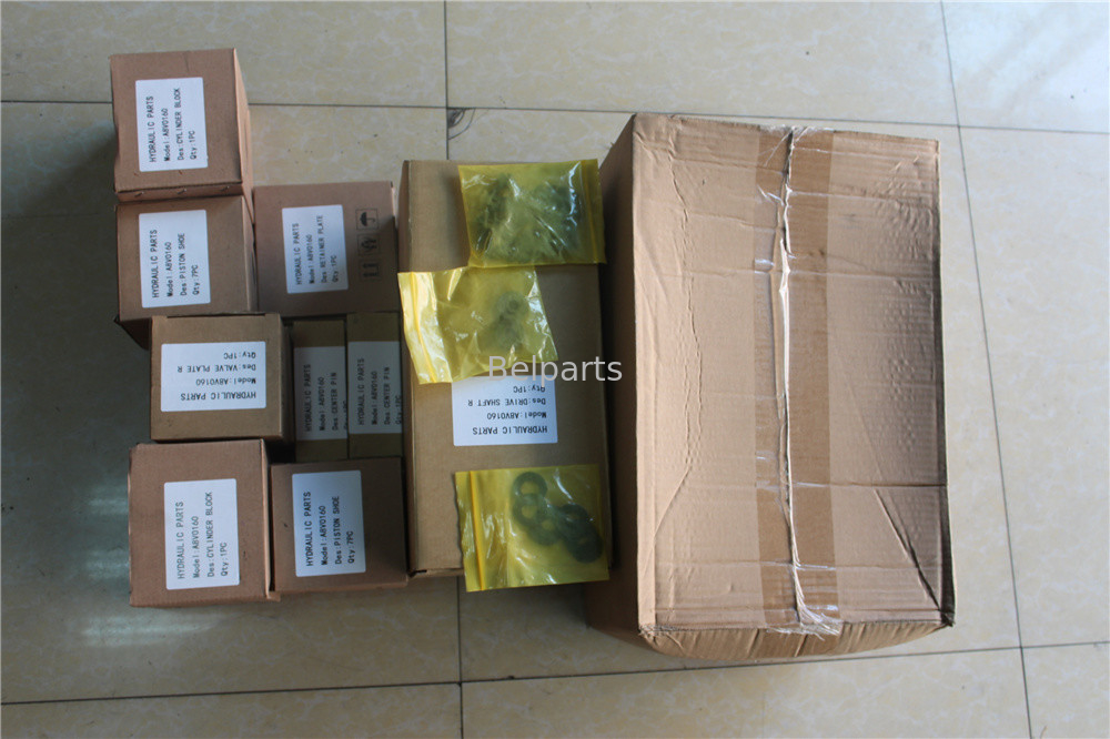 Corredi di riparazione idraulici del motore della pompa di Parts Axial Piston dell'escavatore di A6VM A2FM A4VG A8V A10V A10VO A11V Rexroth